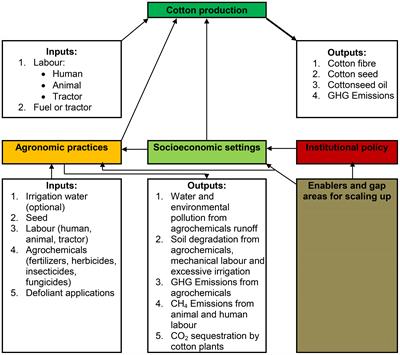 Unexplored agronomic, socioeconomic and policy domains for sustainable cotton production on small landholdings: a systematic review